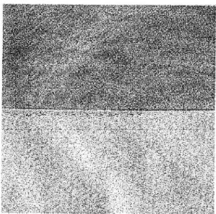 Deux panneaux verticaux en niveaux de gris montrant des surfaces texturées, sans texte ni symbole visible