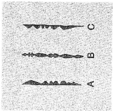Trois objets verticaux segmentés et texturés étiquetés A, B et C sur un fond moucheté (sans texte ni symboles sur les objets eux-mêmes).