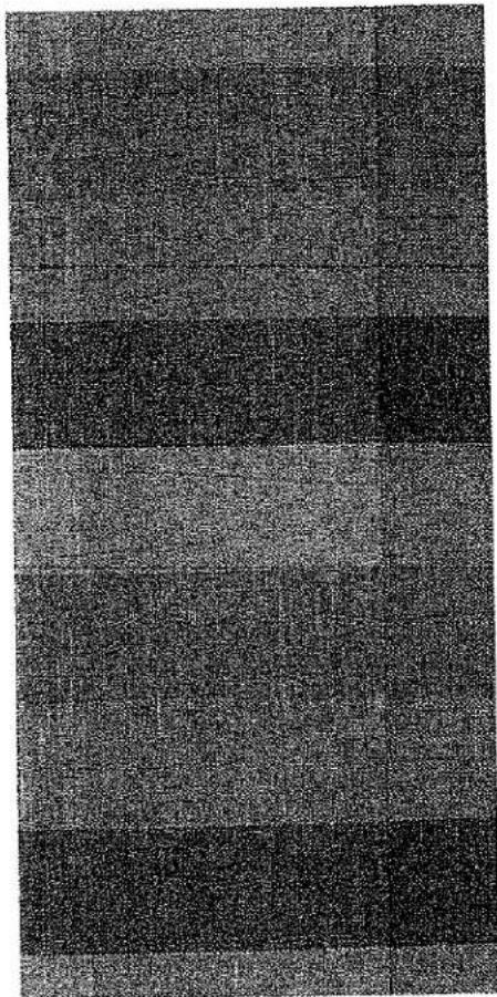 Motif abstrait en noir et blanc avec des bandes verticales et aucun texte ou symbole discernable