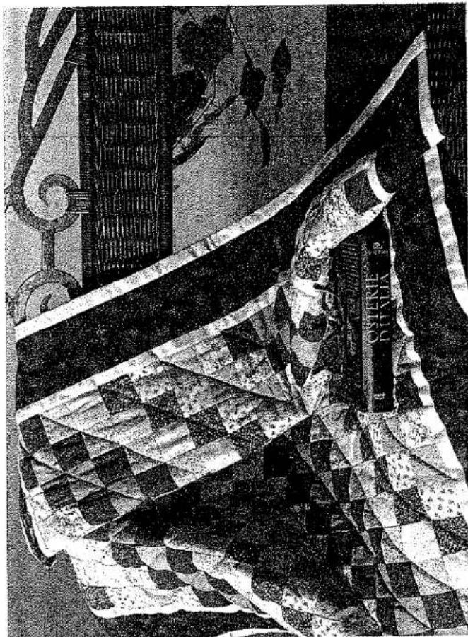Illustration en noir et blanc d'une personne allongée sur une couverture à carreaux avec un livre étiqueté 'OSTERIE D' (aucun texte lisible au-delà de l'étiquette).