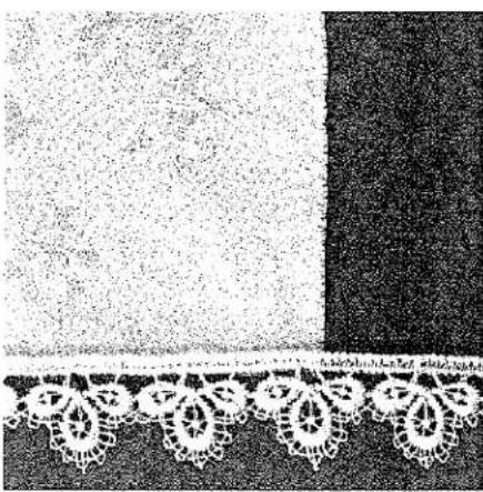 Bordure décorative en noir et blanc avec motifs de dentelle sur le côté gauche (aucun texte ou symbole)