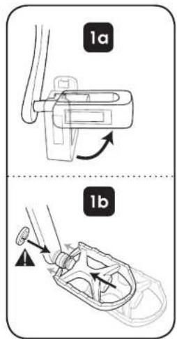 1a 1b