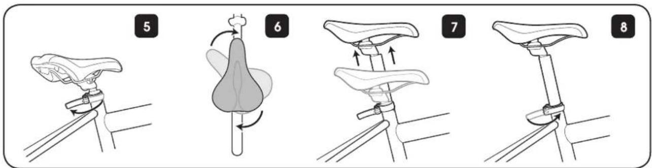 5 6 7 8