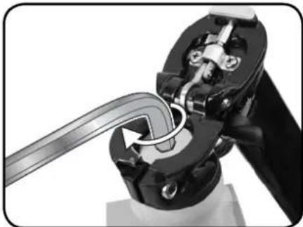 DAHON Briza D3 - REMARQUE: - 4