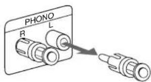 PHONO R L