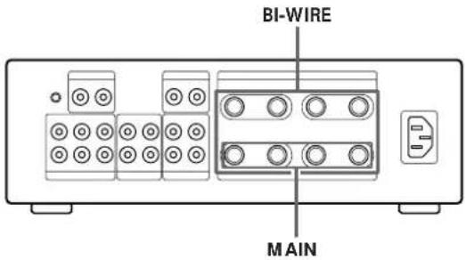 BI-WIRE MAIN