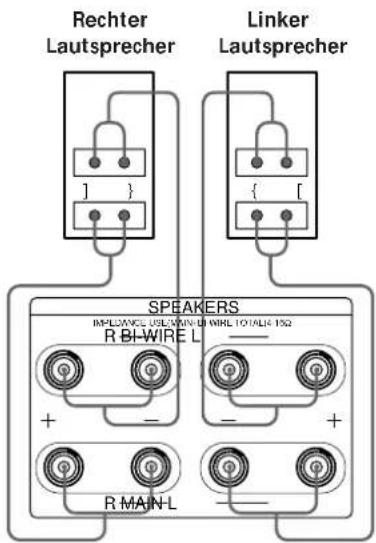 Rechter Lautsprecher Linker Lautsprecher SPEAKERS R BI-WIRE L + - R MAIN-L