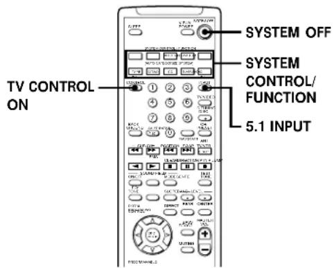 TV CONTROL ON SYSTEM OFF SYSTEM CONTROL/ FUNCTION 5.1 INPUT