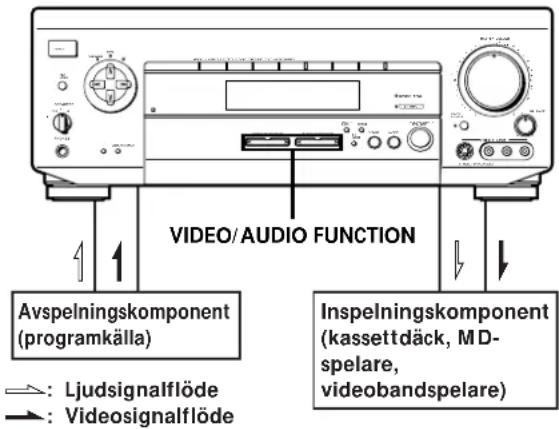 VIDEO/AUDIO FUNCTION Avspelningskomponent (programkälla) : Ljudsignalflöde : Videosignalflöde Inspelningskomponent (kassettdäck, MD- spelare, videobandspelare)