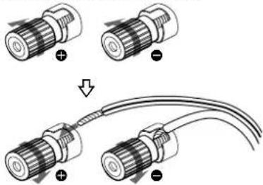 SONY TA-VE610 - Raccordements - 2