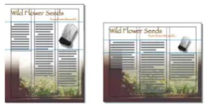 ADOBE InDesign CC - About automatic layout adjustment - 1