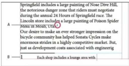 Springfield includes a large painting of Nose Dive Hill, the notorious danger zone that riders must negotiate during the annual 24 Hours of Springfield race. The Lincoln store includes a large painting of Poison Spider Mesa in Moab, Utaf. Our desire to make an ever stronger impression on the bicycle…