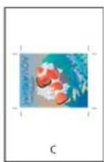 ADOBE InDesign CC - Specify paper size and page orientation - 3