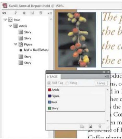 Kahili Annual Report.lndd @ 150% ure Root Article Story Story Figure href = file://fathers/ Story Story The p the b the c the e TAGS Add Tag Regag Untag ■ Article ■ Figure ■ Root ■ Story as the site of I Coffee planta