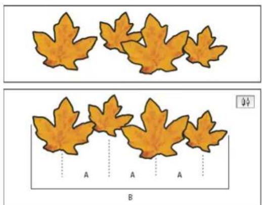 Illustration showing two rows of orange maple leaves with dashed lines labeled A and B, likely for counting or educational purposes.