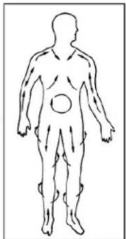 INVENTUM MG40 - Massage - 1