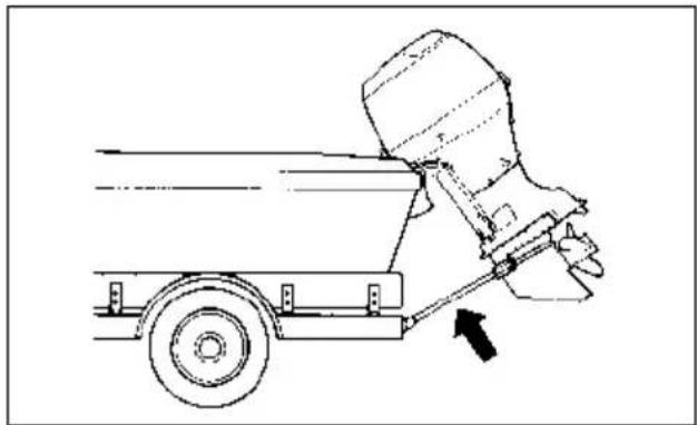 SUZUKI DF115A - TRAILERING - 1