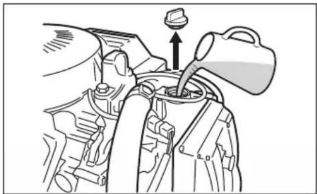 SUZUKI DF115A - To fill the engine oil: - 1