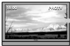 PIONEER PDP-428XG - Ejemplos de visualización susceptibles al quemado - 1