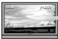 PIONEER PDP-428XG - Exemplos de exibições suscetíveis à queima - 1