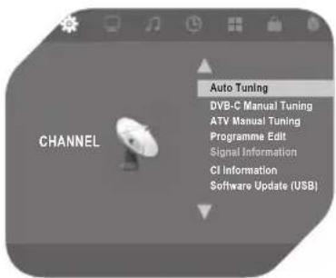 OK OLE 224 B-DVD-D4 - DVB-C-Signal (Kabel) - 1