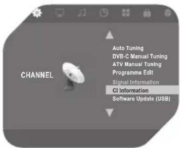 OK OLE 224 B-DVD-D4 - DVB-C-Signal (Kabel) - 2