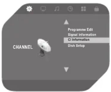 CHANNEL Programme Edit Signal Information CI Information Dish Setup