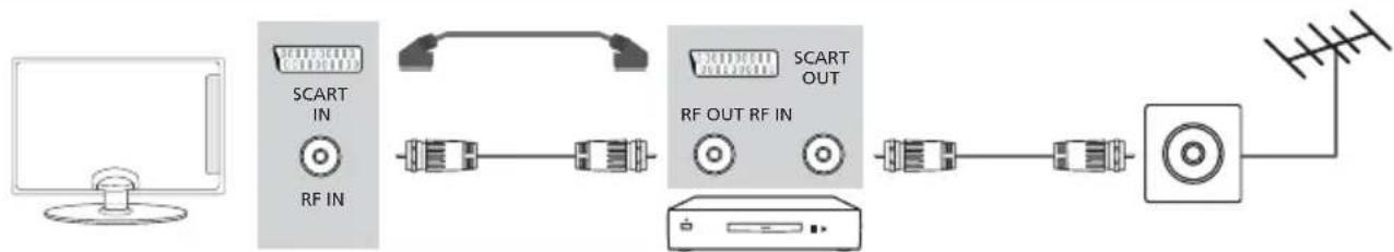 OK OLE 328 B-D4S - Connections - 1