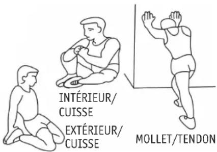 INTÉRIEUR/ CUISSE EXTÉRIEUR/ CUISSE MOLLET/TENDON