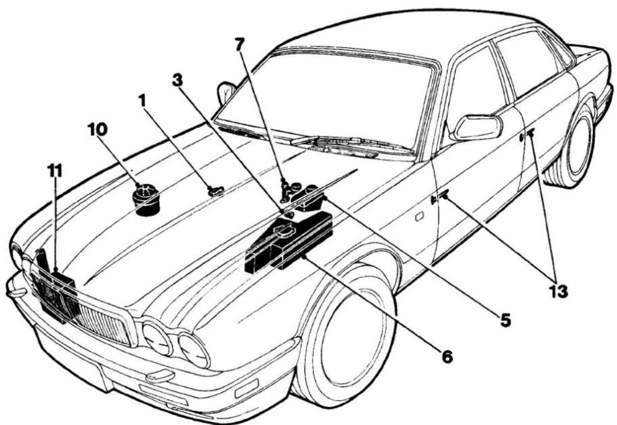 Technical diagram of a car with numbered parts for identification and assembly reference.