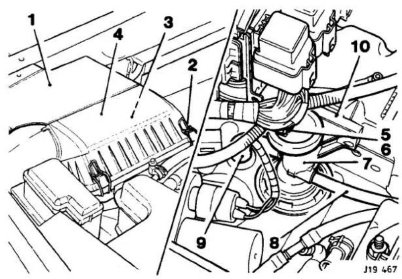 Technical diagram of an engine assembly with numbered components for identification