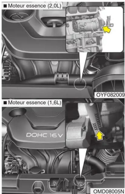 ■ Moteur essence (2,0L) ■ Moteur essence (1,6L) DOHC 16V OYF082009 OMD08005N