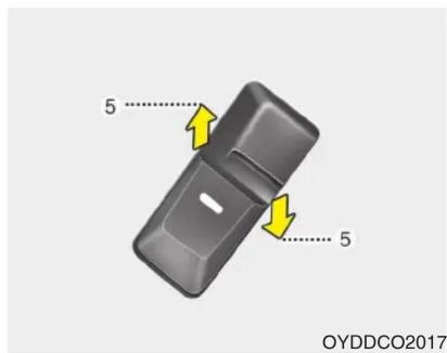 5 5 5 OYDDCO2017