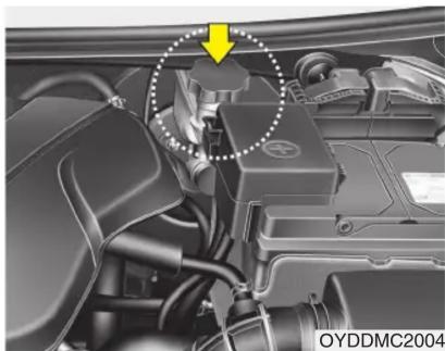 KIA Forte (2013) - Vérifier le niveau du liquide de freinage/d'embrayage - 1