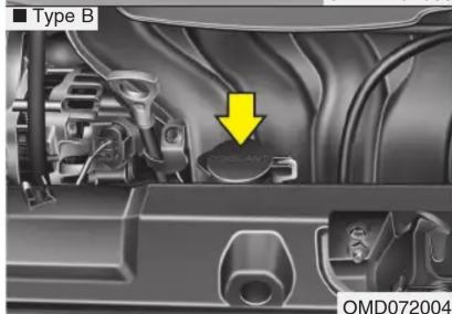 Type B OMD072004