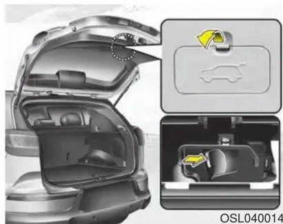 KIA Sportage (2013) - - Coffre arrière - 1