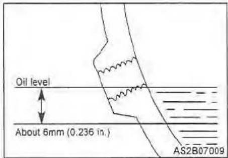 Oil level About 6mm (0.236 in.) AS2B07009
