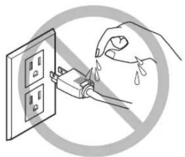 ROLAND VS-420 - Important notes about the power cord, plug, and electrical outlet - 2