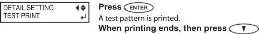 DETAIL SETTING TEST PRINT Press ENTER A test pattern is printed. When printing ends, then press ▼