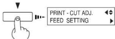 PRINT - CUT ADJ. FEED SETTING