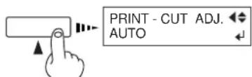 PRINT - CUT ADJ. AUTO