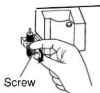 Screw