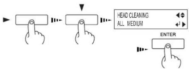 HEAD CLEANING ALL MEDIUM ENTER