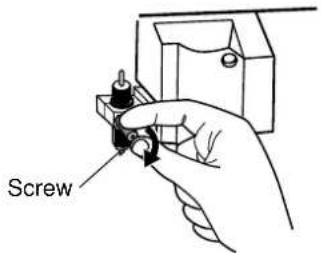 Screw