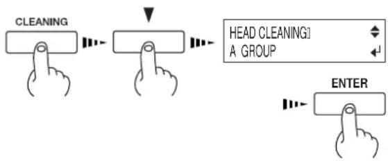 ROLAND SC-540 - Printing-head Groups - 1
