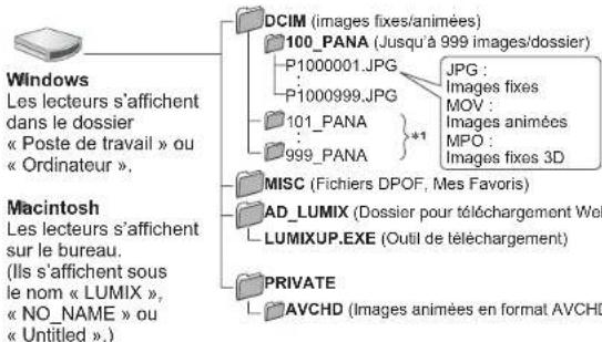 Windows Les lecteurs s'affichent dans le dossier « Poste de travail » ou « Ordinateur », Macintosh Les lecteurs s'affichent sur le bureau. (Ils s'affichent sous le nom « LUMIX », « NO_NAME » ou « Untitled ».)