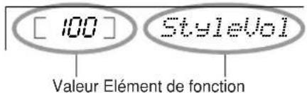 [ 100 ] StyleVoI Valeur Elément de fonction