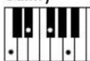 YAMAHA PSR-E213 - Réglage du volume de style - 35