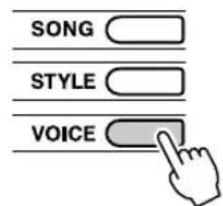 SONG STYLE VOICE