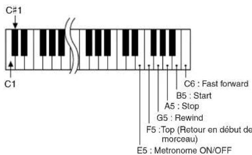 C#1 C1 C6 : Fast forward B5 : Start A5 : Stop G5 : Rewind F5 : Top (Retour en début de morceau) E5 : Metronome ON/OFF